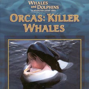 cover image of Whales and Dolphins: Orcas: Killer Whales